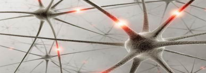 Fisioterapia neurológica